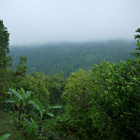 Photo de Bali - Autour de Munduk